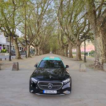Táxi na avenida dos plátanos em Ponte de Lima